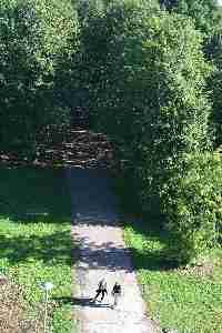 - questa immagine è collegata l'immagine ingrandita